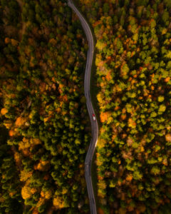 Straße im Wald in Bosnien und Herzegowina Straße im Wald in Bosnien und Herzegowina