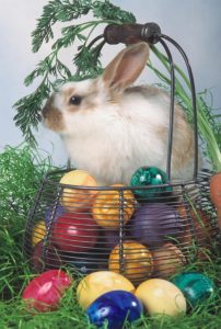 Easter, basket, Easter eggs, hare, Still life, Easter basket, eggs, brightly, Easter bunny, Easter bunny, carrot, hare