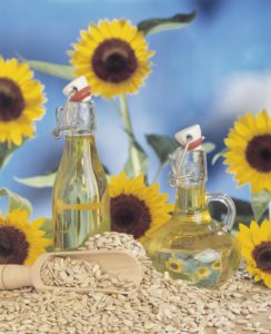 Sunflowers, sunflower cores, sunflower oil, Still life, oil, sunflower oil, nature plant, plant, vegetable oil, Cholesterinfrei, nutrition, healthy, healthy, blood circulation-supporting, vitamin E, sunflower, flower, Helianthus, yellow, composites, wooden shovel,