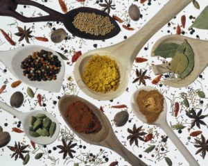 Wooden spoons, spices, differently, Still life, spice, food spice, spoon, mustard seed, peppercorn, cardamom, bay leaves, nutmeg, Stern's aniseed, chilli pods, curry, paprika, cinnamon, powder, ground, Würzmittel, cook, ingredients, food spice