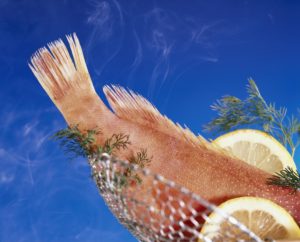 Tennis racket, perch, detail, slices lemon, dill fish dish, fish, food fish, cooking, food, preparation, preparation, vapour, steam, fish, raw, food, food, Still life