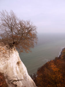 Chalk cliffs on Rügen in golden autumn Chalk cliffs on Rügen in golden autumn