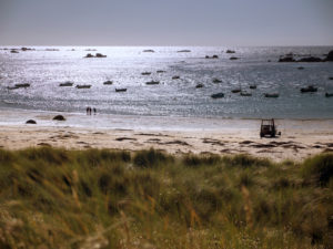 Blick über die Dünen auf einen Strand an der Nordküste der Bretagne im sommerlichen Gegenlicht Blick über die Dünen auf einen Strand an der Nordküste der Bretagne im sommerlichen Gegenlicht