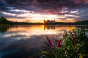 Schloss Moritzburg, See, Spiegelung, Sonnenuntergang, Blumen Schloss Moritzburg, See, Spiegelung, Sonnenuntergang, Blumen