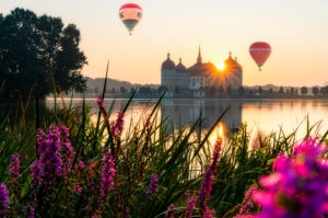Schloss Moritzburg, See, Spiegelung, Heißluftballons, Blumen
Schloss Moritzburg, See, Spiegelung, Heißluftballons, Blumen