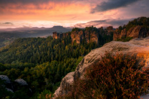 Sächsische Schweiz, Bastei, Sonnenaufgang, Nationalpark, Heidekraut Sächsische Schweiz, Bastei, Sonnenaufgang, Nationalpark, Heidekraut