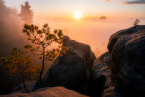 Sonnenaufgang, Sächsische Schweiz, Lilienstein, Nebel, Sachsen, Deutschland, Nationalpark Sonnenaufgang, Sächsische Schweiz, Lilienstein, Nebel, Sachsen, Deutschland, Nationalpark