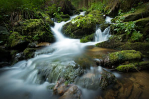 wonderful mountain stream not far from Haslach an der Mühl in the Upper Austrian Mühlviertel wonderful mountain stream not far from Haslach an der Mühl in the Upper Austrian Mühlviertel