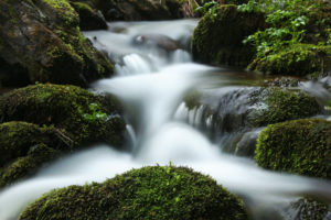 wonderful mountain stream not far from Haslach an der Mühl in the Upper Austrian Mühlviertel wonderful mountain stream not far from Haslach an der Mühl in the Upper Austrian Mühlviertel
