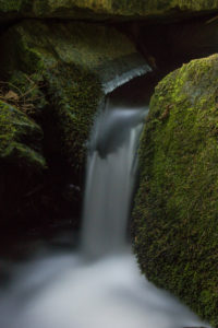 wonderful mountain stream not far from Haslach an der Mühl in the Upper Austrian Mühlviertel wonderful mountain stream not far from Haslach an der Mühl in the Upper Austrian Mühlviertel
