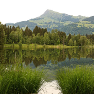 Reflections from the Kitzbüheler Horn in the Schwarzsee near Kitzbühel in Tyrol Reflections from the Kitzbüheler Horn in the Schwarzsee near Kitzbühel in Tyrol