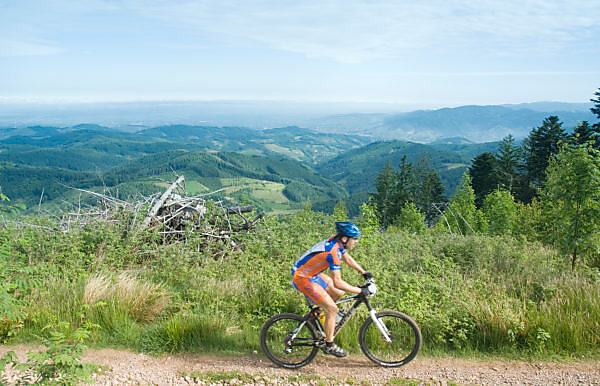 t5 california markise nachrüsten 360° Rockalu für VANs und Reisemobile freitragend JT Racing Suzuki Team Jersey: Yellow (Jersy Size):Medium CADEX Aero Integrated Handlebar new 2025 escape