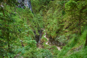 Stream, Almbach gorge, summer, Berchtesgadener Land, Bavaria, Germany Stream, Almbach gorge, summer, Berchtesgadener Land, Bavaria, Germany