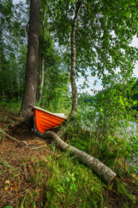 Boat in the forest, Hogland Island, Finland Boat in the forest, Hogland Island, Finland