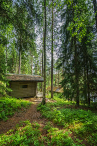 Cabin in the forest, Hogland Island, Finland Cabin in the forest, Hogland Island, Finland