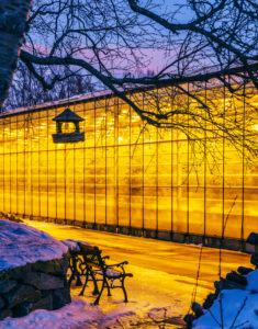 Geothermally heated greenhouse in the wintertime, Iceland Geothermally heated greenhouse in the wintertime, Iceland