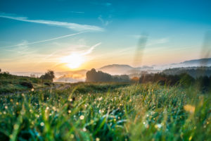 Sunrise ovcer a woodland in Saxony Switzerland Sunrise ovcer a woodland in Saxony Switzerland