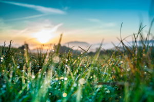 Sunrise over a meadow in Saxony Switzerland Sunrise over a meadow in Saxony Switzerland