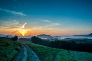 Sunrise over a woodland Sunrise over a woodland