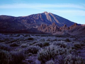 Landscape photography in the Teide National Park on the island of Tenerife, Canary Islands, Spain Landscape photography in the Teide National Park on the island of Tenerife, Canary Islands, Spain