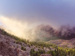 Landscape photography in the Teide National Park on the island of Tenerife, Canary Islands, Spain Landscape photography in the Teide National Park on the island of Tenerife, Canary Islands, Spain