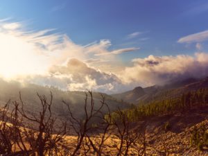 Landscape photography in the Teide National Park on the island of Tenerife, Canary Islands, Spain Landscape photography in the Teide National Park on the island of Tenerife, Canary Islands, Spain
