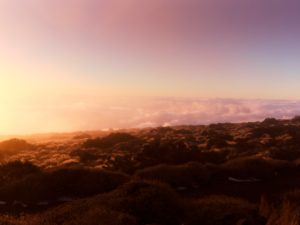 Landscape photography in the Teide National Park on the island of Tenerife, Canary Islands, Spain Landscape photography in the Teide National Park on the island of Tenerife, Canary Islands, Spain