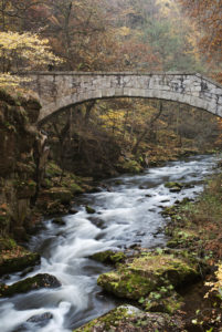 bridge over the river in Bode Gorge, Harz National Park bridge over the river in Bode Gorge, Harz National Park