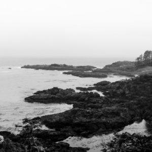 Rocky Coast, Pacific Northwest Coast, Vancouver Island, Canada