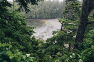 View of the beach from Wild Pacific Trail, Vancouver Island, Canada