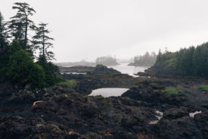 Pacific Coast, Vancouver Island, Canada