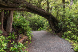 Wild Pacific Trail, Vancouver Island, Canada