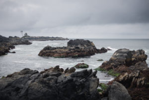 Wild Pacific Trail, Ucluelet, Vancouver Island, Canada