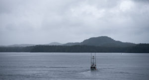 Fishing boat on the sea, Vancouver Island, Canada
