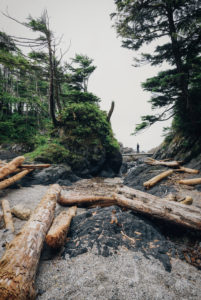 Person on the beach, Pacific Rim National Park, Canada
