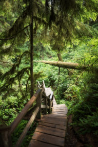 Schooner Cove Trail, Pacific Rim National Park, Vancouver Island, Canada