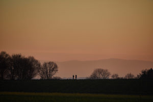 Two people in the distance on a dirt road in the sunset glow Two people in the distance on a dirt road in the sunset glow