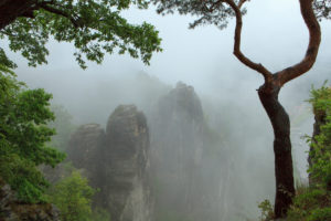 Fog in the National Park Saxon Switzerland, Bastei area, Saxony, Germany, Europe Fog in the National Park Saxon Switzerland, Bastei area, Saxony, Germany, Europe