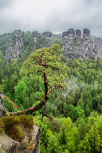 National Park Saxon Switzerland, Bastei area, Saxony, Germany, Europe National Park Saxon Switzerland, Bastei area, Saxony, Germany, Europe
