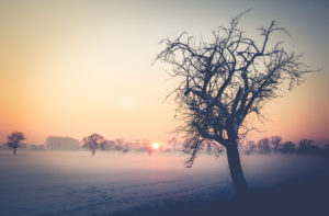 Sundown in winter Sundown in winter