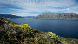 Neuseeland, Commonwealth, Queenstown, Lake Wakatipu, Neuseeland, Commonwealth, Queenstown, Lake Wakatipu,