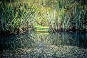 Neuseeland, Südinsel, Mirror Lakes, Neuseeland, Südinsel, Mirror Lakes,