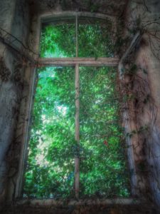 Lost Place, old ailing hall, window Lost Place, old ailing hall, window