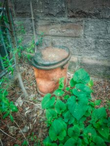 Lost Place, old abandoned gym, rusty bin, outside Lost Place, old abandoned gym, rusty bin, outside