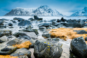 Scree field on the beach Scree field on the beach