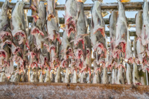 Dried fish Dried fish