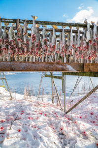 Dried fish Dried fish
