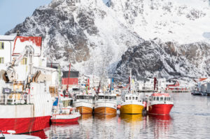 Fishing boats in the port of Henningsvaer Fishing boats in the port of Henningsvaer