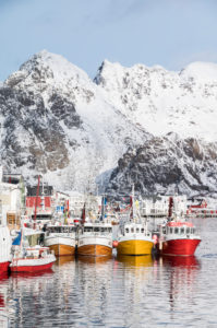 Fishing boats in the port of Henningsvaer Fishing boats in the port of Henningsvaer