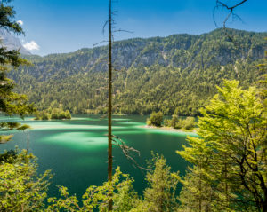 On the way at the Eibsee under the Zugspitze, Bavaria, Germany On the way at the Eibsee under the Zugspitze, Bavaria, Germany